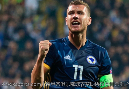 德甲各俱乐部球衣赞助协议合同金额分析